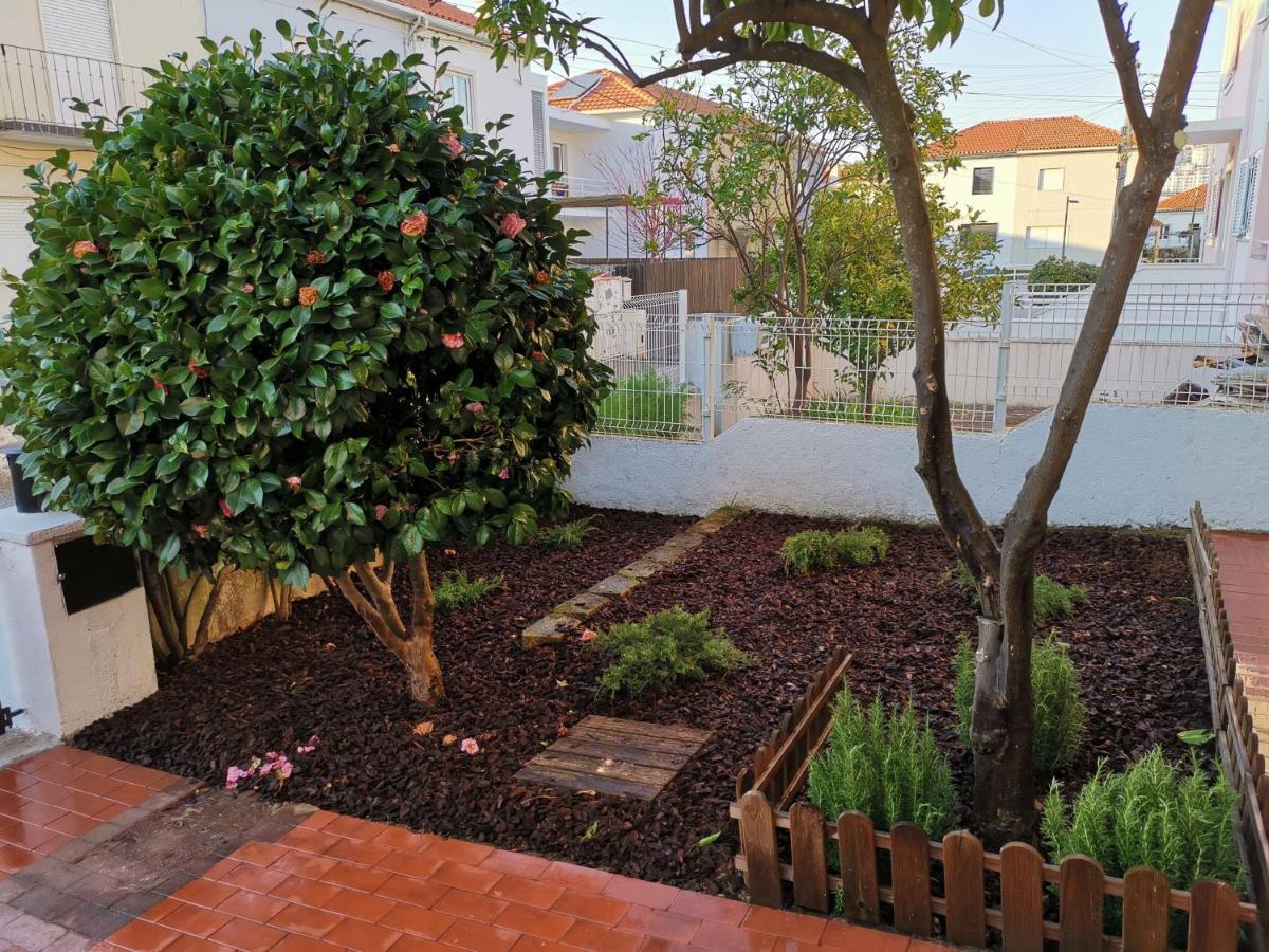 Villa Coimbra - Casa Inteira المظهر الخارجي الصورة